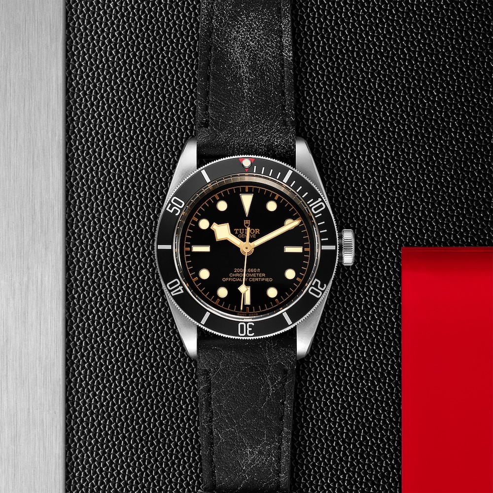 Tudor Black Bay